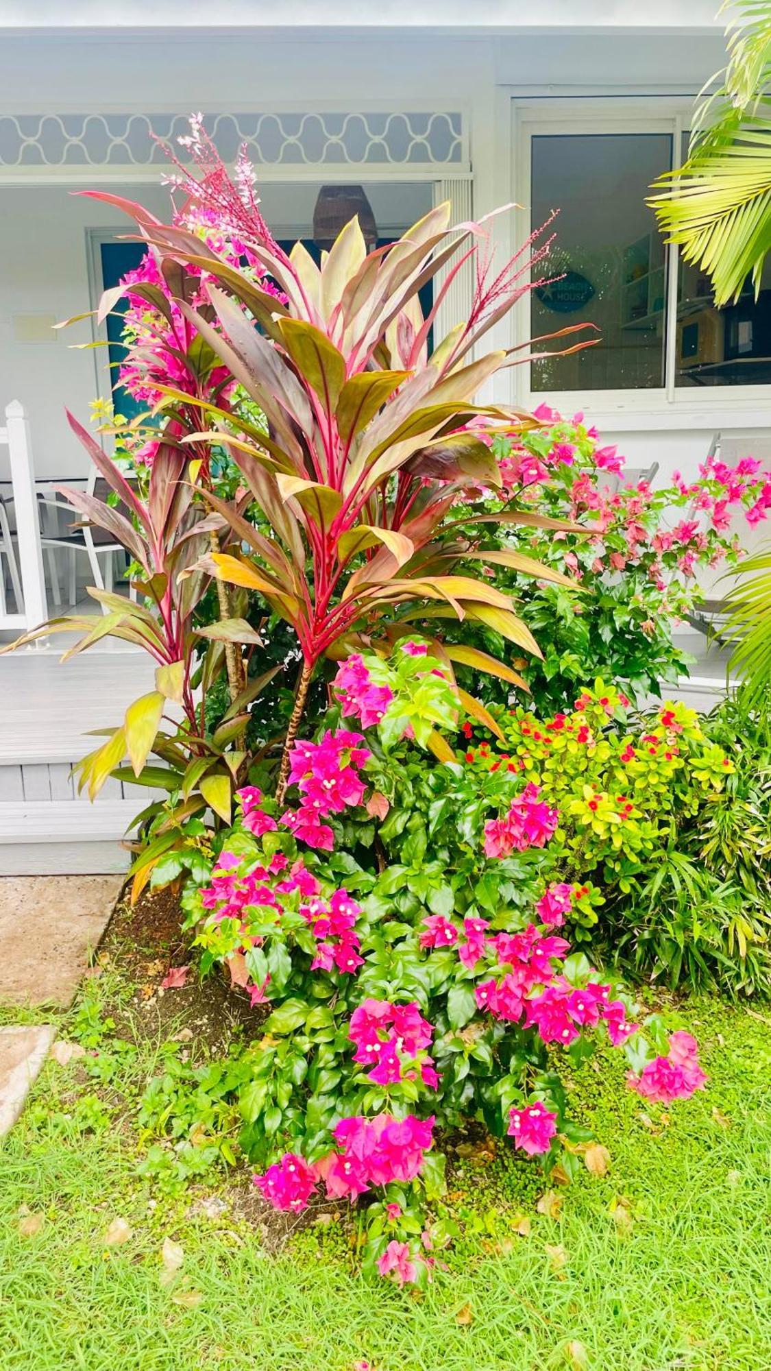 Residence Cocody Sainte-Anne  Ngoại thất bức ảnh